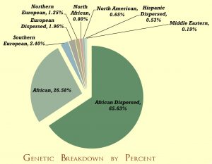 Ancestral Discovery Sample Pie Chart