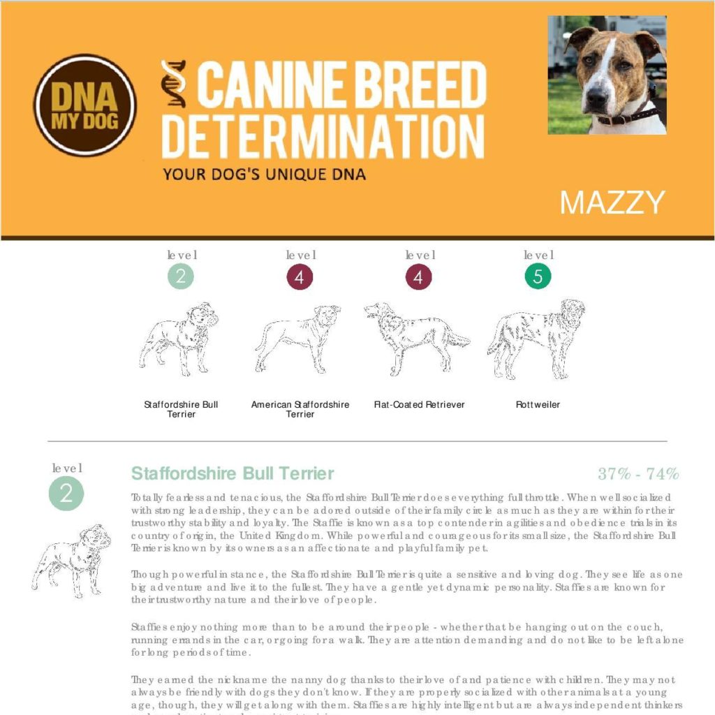 DNA My Dog Breed Test | Canine Breed 