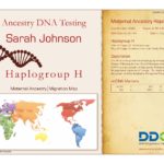 An example Maternal Lineage Ancestry DNA Test Certificate